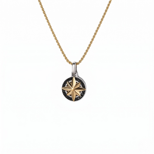 Two-tone gold and silver north star compass pendant necklace with black crystal halo on gold box chain, white background - Savannah Star Pendant (Gold) - J. Collins Jewelry 