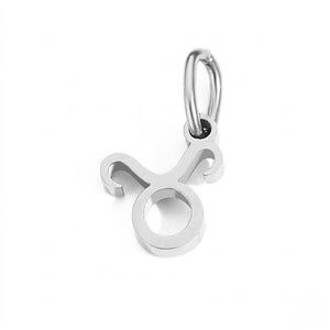 Zodiac Sign Charm